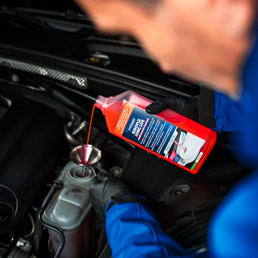 Liquido Radiatore Rosso Auto Euroflu Long Life Fra-Ber Liquido Radiatore Rosso Auto Euroflu Long Life Fra-Ber